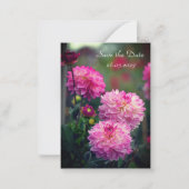 Roze en witte Dahlia Flower Save the Date Kaart Notitiekaartje (Voorkant)
