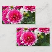 Roze en Witte Dahlia Visitekaartje (Voorkant / Achterkant)