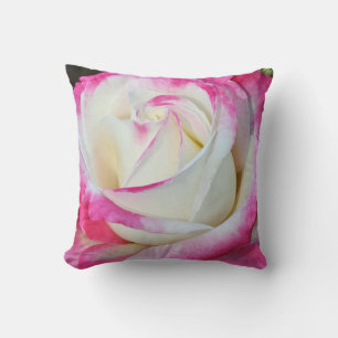Roze en witte, enkelvoudige roos gooien kussen
