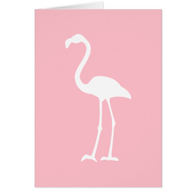 Roze en witte flamingo (Voorkant)