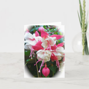 Roze en witte Fuschia Kaart
