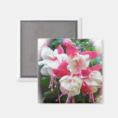 Roze en witte Fuschia Magnet (Voorkant / Achterkant)