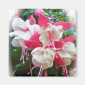 Roze en witte Fuschia Magnet (Voorkant)