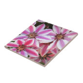 Roze en witte, gestreepte rode stengelbloemen tegeltje (Zijkant)