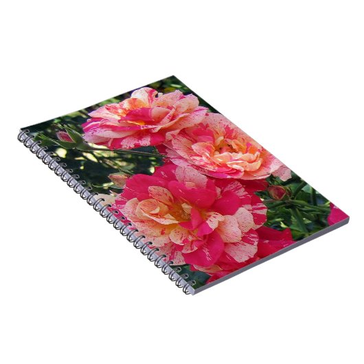 Roze en witte gestreepte Rozen Floral Art Small Notitieboek (Rechterzijde)