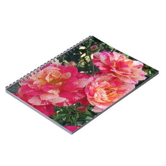 Roze en witte gestreepte Rozen Floral Art Small Notitieboek (Linkerzijde)