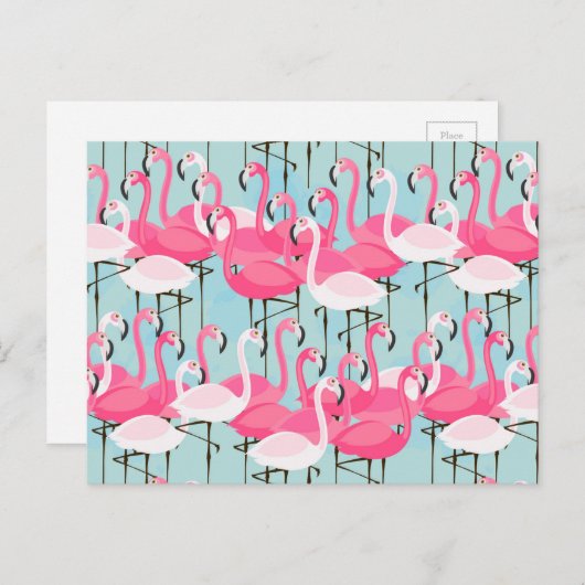 Roze en witte gewassen van vlamingos briefkaart (Voorkant / Achterkant)