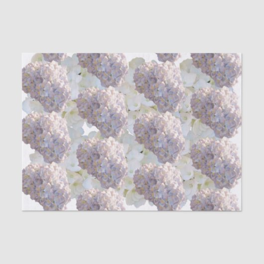 Roze en Witte Hortensia Tissuepapier (Voorkant)