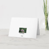 Roze en Witte Hydrangea Bloemen Met Sympathie Kaart (Achterkant)