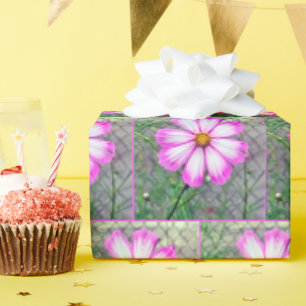 Roze en witte kosmos bloem cadeaupapier
