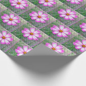Roze en witte kosmos bloem cadeaupapier (Hoek)