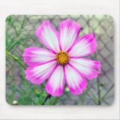 Roze en witte kosmos bloem muismat (Voorkant)