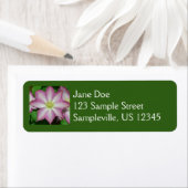 Roze en witte lente van Clematis Etiket (Insitu)