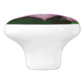 Roze en witte lente van Clematis Keramische Knop (Zijkant)