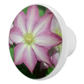 Roze en witte lente van Clematis Keramische Knop (Rechts)