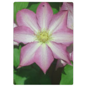 Roze en witte lente van Clematis Klembord (Achterkant)