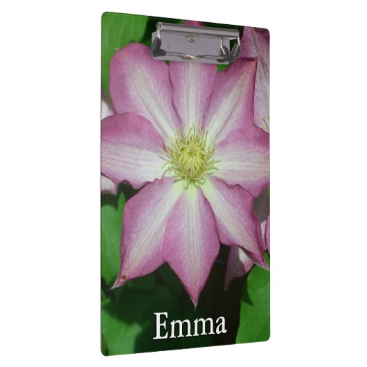 Roze en witte lente van Clematis Klembord (Rechts)