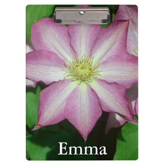 Roze en witte lente van Clematis Klembord (Voorkant)