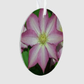Roze en witte lente van Clematis Ornament (voorkant)