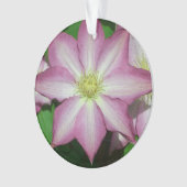 Roze en witte lente van Clematis Ornament (voorkant)