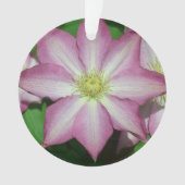 Roze en witte lente van Clematis Ornament (voorkant)