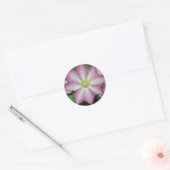 Roze en witte lente van Clematis Ronde Sticker (Envelop)