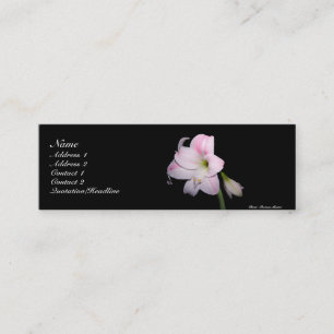 Roze en witte Lily-kaart Mini Visitekaartje