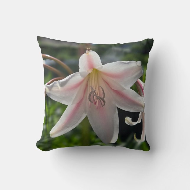 Roze en witte Lily Kussen (Voorkant)