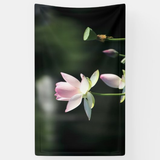 Roze en witte Lotus Flower Spandoek (Verticaal)