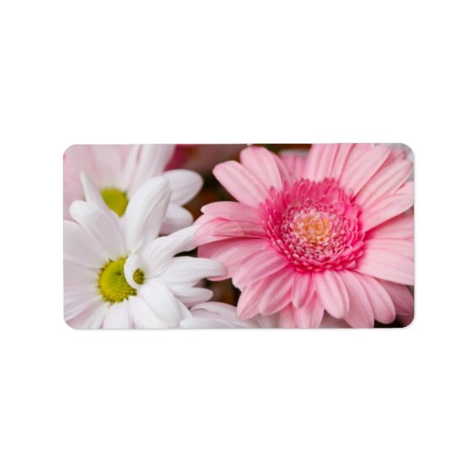 Roze en witte madeliefjes etiket (Voorkant)