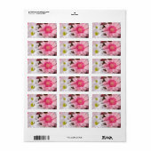 Roze en witte madeliefjes etiket (Full Sheet)