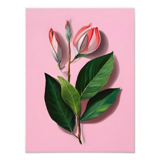 Roze en witte Magnolia Bloem Foto Afdruk (Voorkant)