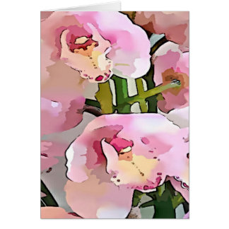 Roze en witte orchidee