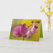 Roze en witte orchidee kaart (Gele Bloem)