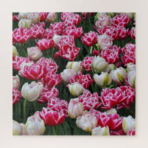 Roze en witte papegaaien legpuzzel