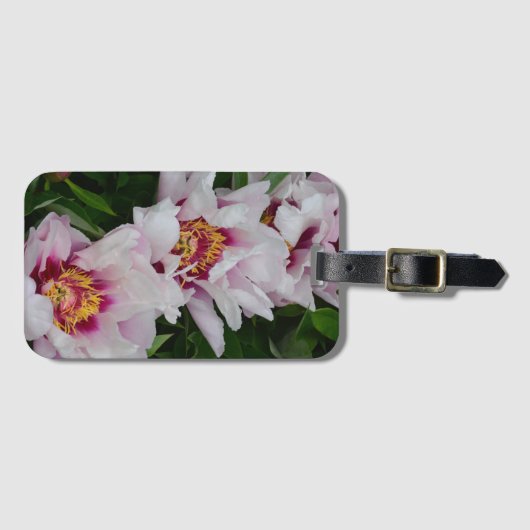Roze en witte pony bloemen bagagelabel (Voorkant (horizontaal))