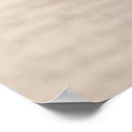 roze en witte ranunculus op het poster van het man (Hoek)