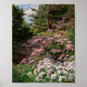 Roze en witte Rhododendron | Thomas Allen, Jr. Poster (Voorkant)