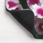 Roze en witte rode Afrikaanse Violet Muismat (Hoek)