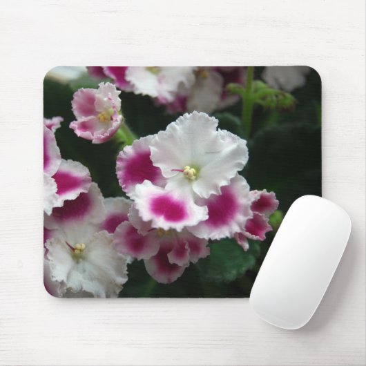 Roze en witte rode Afrikaanse Violet Muismat (Met muis)