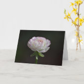 Roze en witte Rose Notecards (Blank Inside) Kaart (Gele Bloem)