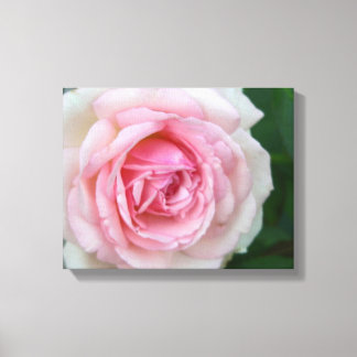 Roze en witte roze canvas afdruk