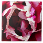 Roze en witte roze keramische tegel tegeltje (Voorkant)