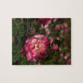 Roze en witte roze legpuzzel (Horizontaal)