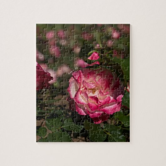 Roze en witte roze legpuzzel (Verticaal)