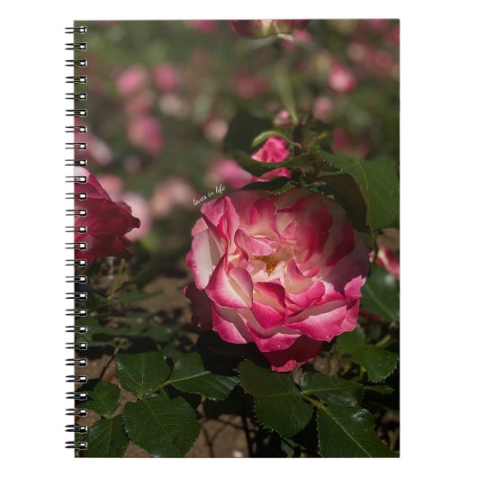 Roze en witte roze notitieboek (Voorkant)