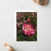 Roze en witte roze notitiekaartje (Voorkant / Achterkant in situ)