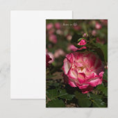 Roze en witte roze notitiekaartje (Voorkant / Achterkant)