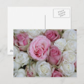 roze en witte rozen door therosegarden briefkaart (Voorkant / Achterkant)
