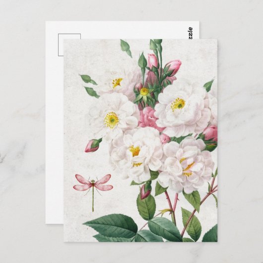 roze en witte rozen en dragonfly briefkaart (Voorkant / Achterkant)
